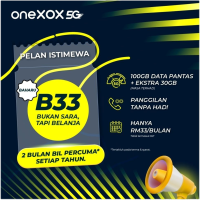B33